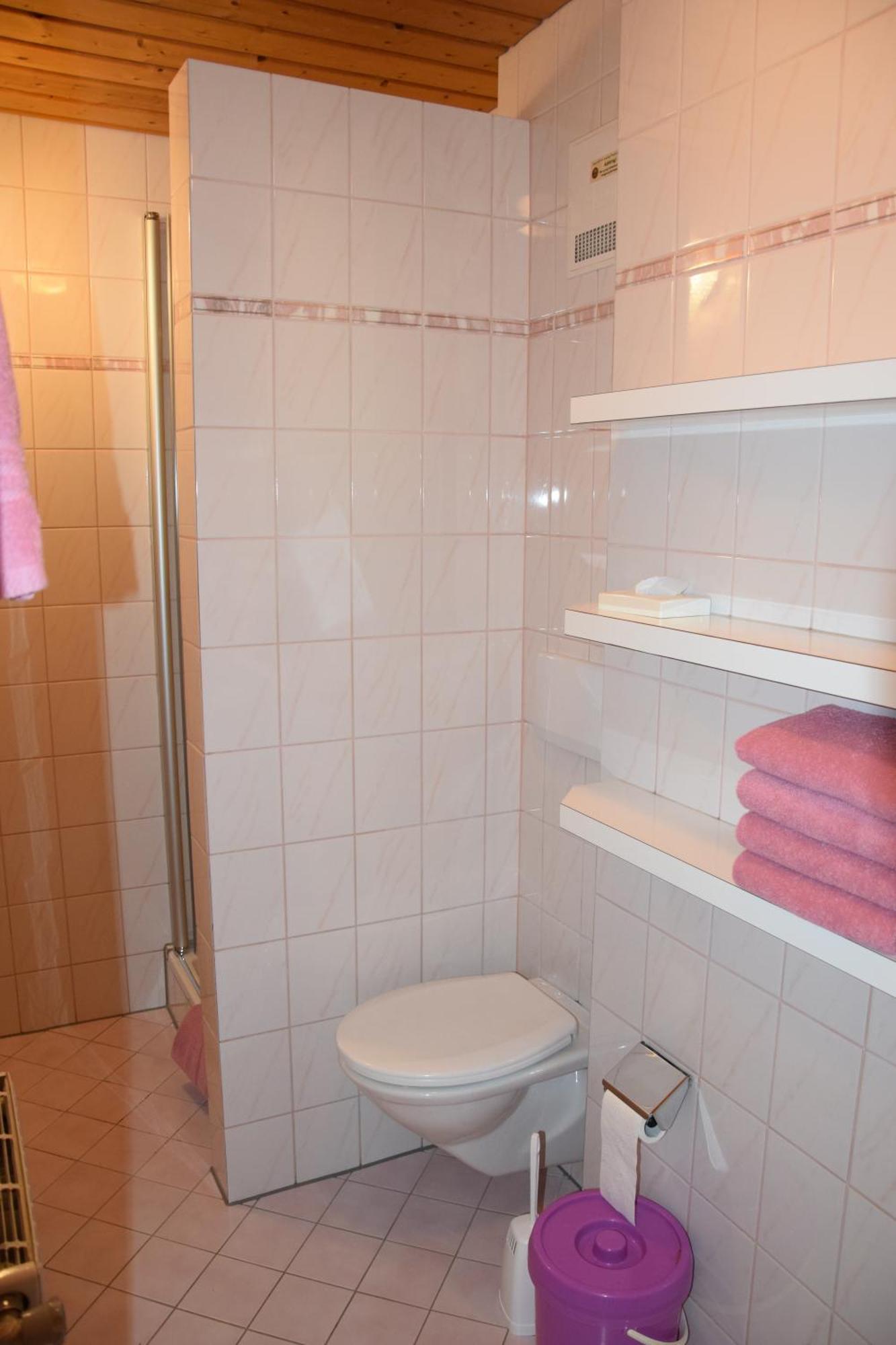 Loeschenbrandhof Apartment Mittersill Ngoại thất bức ảnh